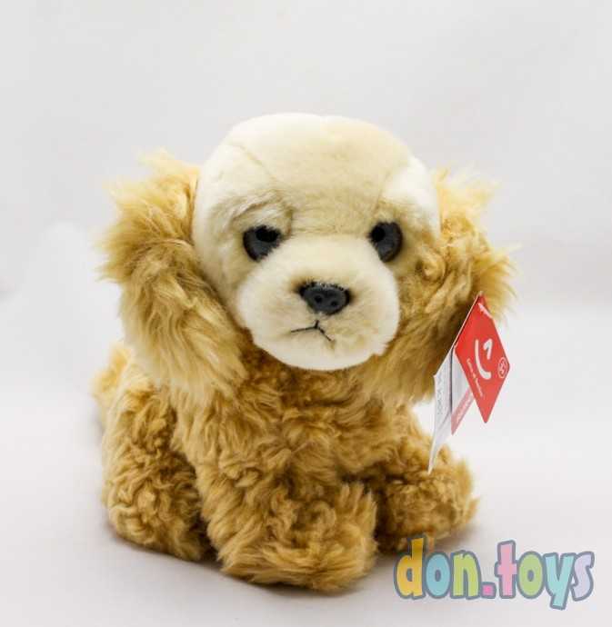 Мягконабивная игрушка Aurora Коккер-спаниель 22 см, фото 1