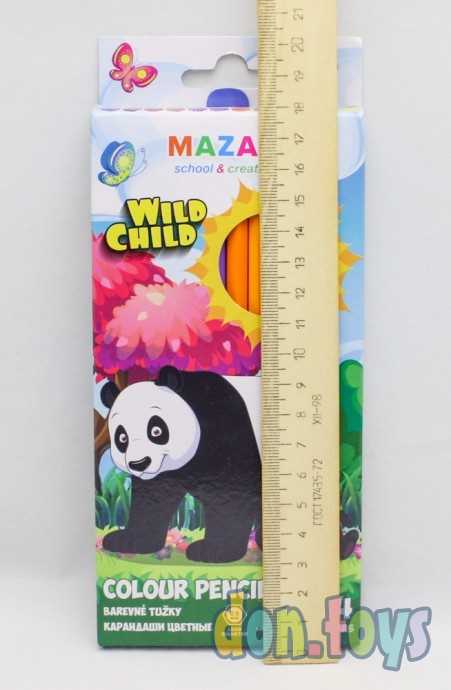 Карандаши цветные WILD CHILD, Mazari, шест.корпус, 24 цвета, арт. М-6139-24, фото 3