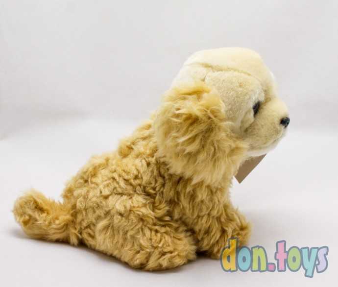 Мягконабивная игрушка Aurora Коккер-спаниель 22 см, фото 4