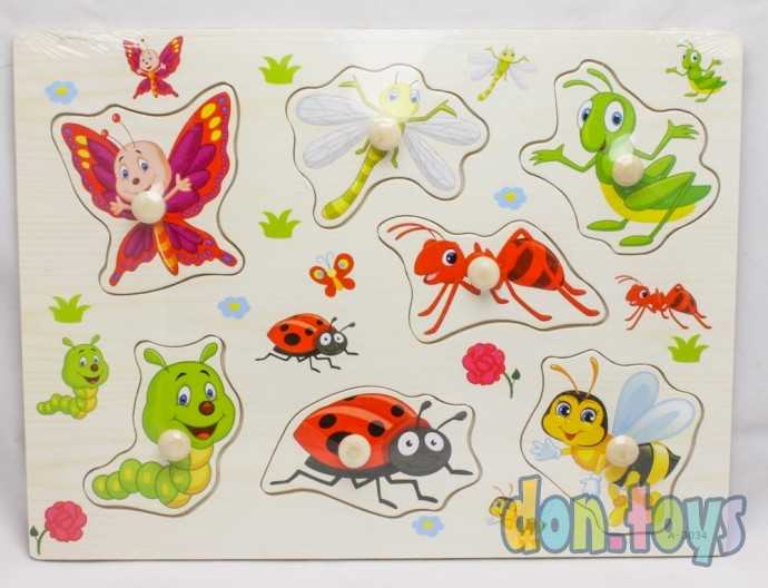 Деревянная рамка-вкладыш "НАСЕКОМЫЕ", арт.AN02346, фото 1