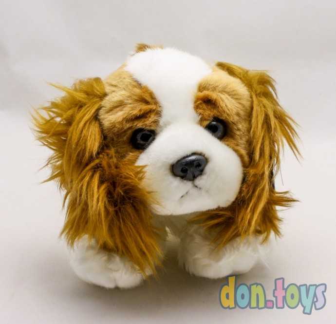 Мягконабивная игрушка Aurora Кинг чарльз спаниель 25 см, арт.24488, фото 1