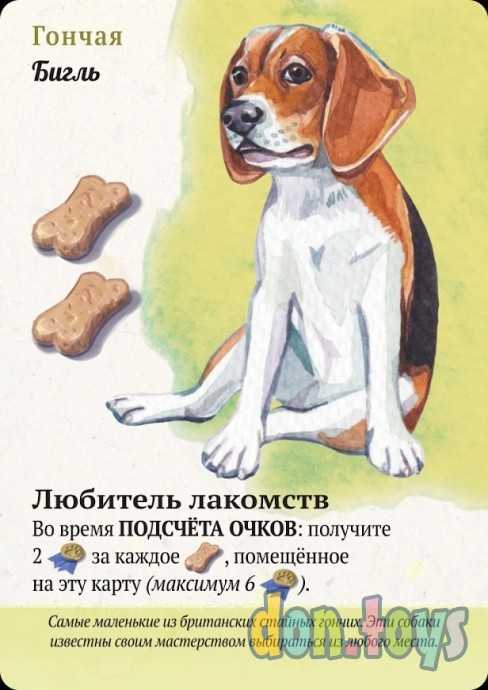 Настольная игра Прогулки с собаками, арт.915537, фото 9