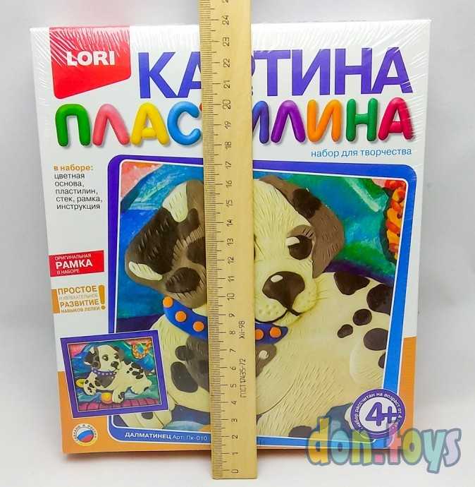 Картина из пластилина Далматинец, арт. Пк-010, фото 4