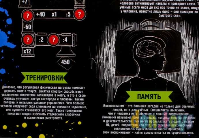 Головоломка металлическая «Мозг человека» набор 5 шт., арт. 3302583, фото 6