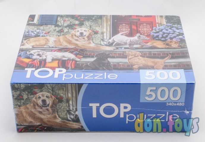 TOPpuzzle Пазлы 500 элементов, Ретриверы, арт. ХТП500-4215, фото 3