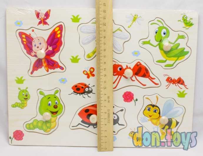 Деревянная рамка-вкладыш "НАСЕКОМЫЕ", арт.AN02346, фото 3