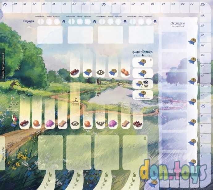 Настольная игра Прогулки с собаками, арт.915537, фото 12