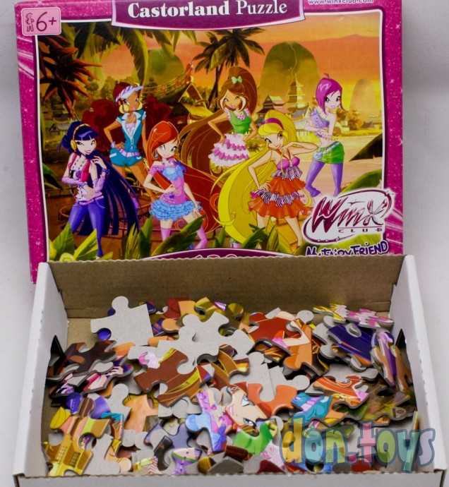 ПАЗЛЫ 120 №12210 "ВИНКС" на пляже Castorland, фото 2