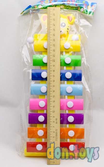 Ксилофон цветной №2, 28 см, металл, арт. 1863904, фото 4