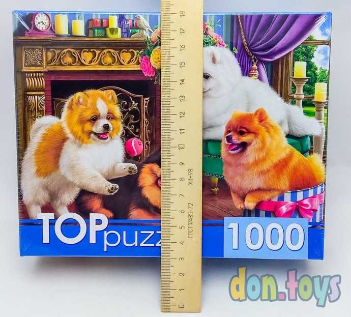 TOPpuzzle Пазлы 1000 элементов, Игривые шпицы, арт. ГИТП1000-4145, фото 3