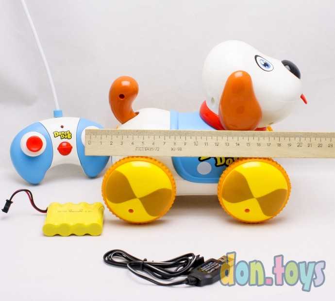 Собака DANCE DOG на р/у, на аккум, 24см, муз, свет, арт. 600B, фото 6