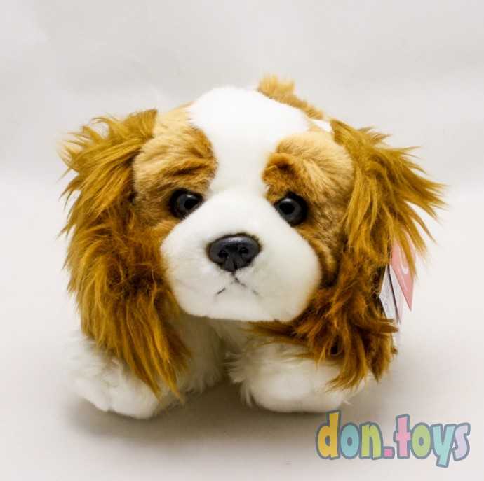 Мягконабивная игрушка Aurora Кинг чарльз спаниель 25 см, арт.24488, фото 5