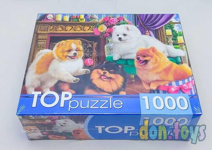 TOPpuzzle Пазлы 1000 элементов, Игривые шпицы, арт. ГИТП1000-4145, фото 2