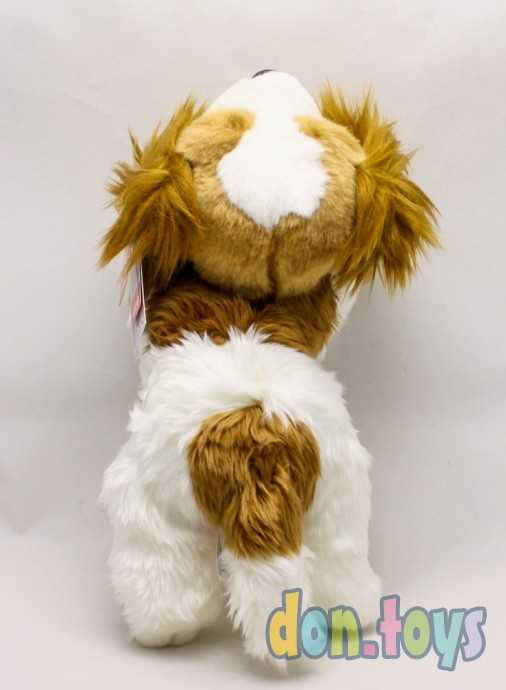 Мягконабивная игрушка Aurora Кинг чарльз спаниель 25 см, арт.24488, фото 7