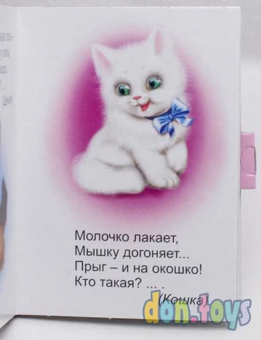 "Угадай-ка". Книжка-крошка с замочком, фото 4