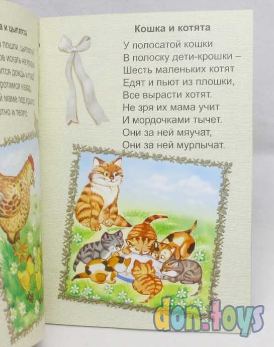 Самая лучшая мама. Борисов Владимир, фото 2