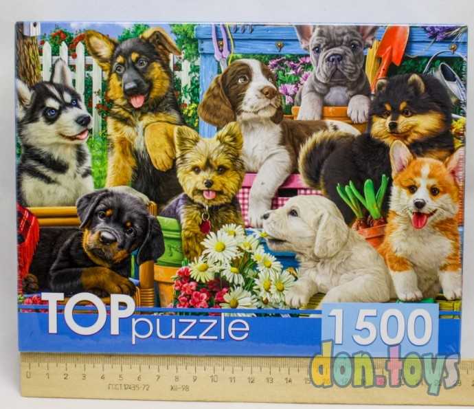 TOPpuzzle. ПАЗЛЫ 1500 элементов. Компания щенков в саду, арт. ХТП1500-1588, фото 1