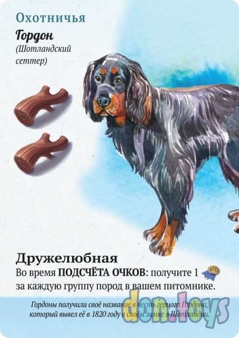 Настольная игра Прогулки с собаками, арт.915537, фото 6