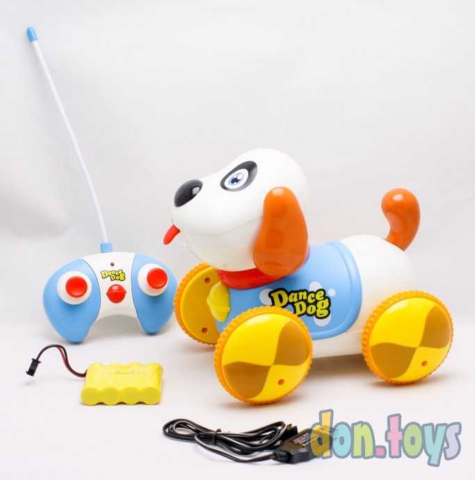 Собака DANCE DOG на р/у, на аккум, 24см, муз, свет, арт. 600B, фото 1