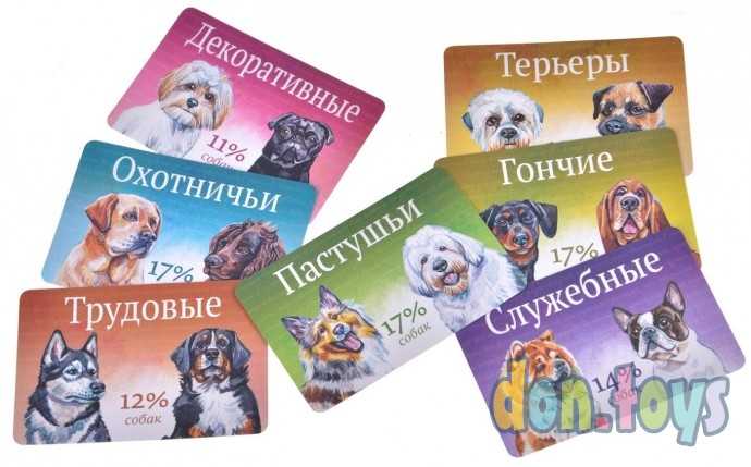 Настольная игра Прогулки с собаками, арт.915537, фото 13