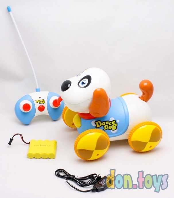 Собака DANCE DOG на р/у, на аккум, 24см, муз, свет, арт. 600B, фото 4