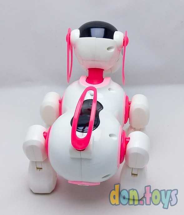 Робот радиоуправляемый, интерактивный «Киберпес Ки-Ки», русское озвучивание, световые эффекты, цвет, фото 17