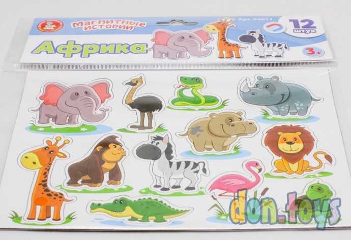 Магниты «Африка» (12 эл). Серия Магнитные истории, арт. 04011, фото 4