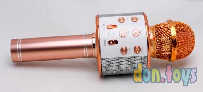 Микрофон с usb, золото, арт. WS-858, фото 8