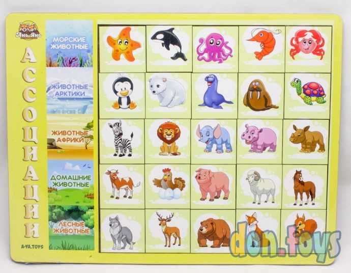Сортер "Ассоциации. Виды животных", арт. 5215519, фото 1