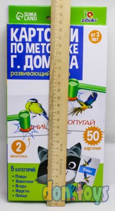 Развивающий набор с молоточками «Карточки Г.Домана», арт. 5290994, фото 2