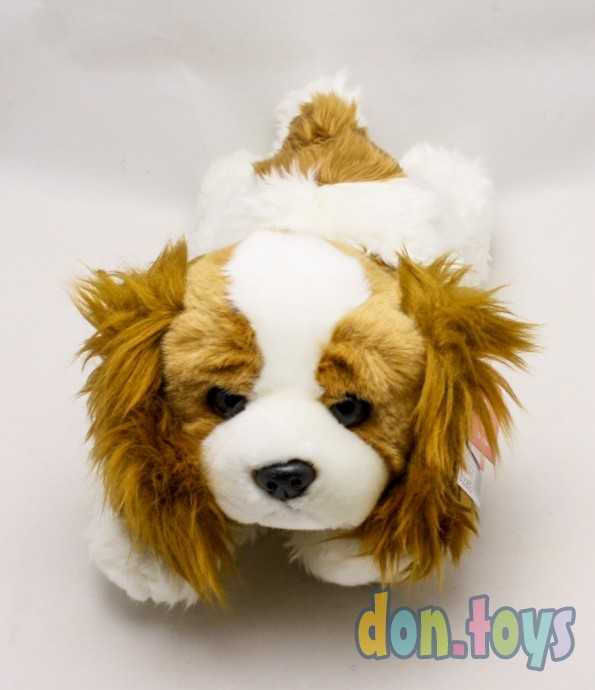 Мягконабивная игрушка Aurora Кинг чарльз спаниель 25 см, арт.24488, фото 4